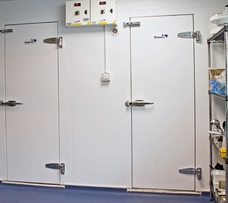 Cold room for 20 tons of onion tomato vegetables fruits mobile cool room walk in freezer room